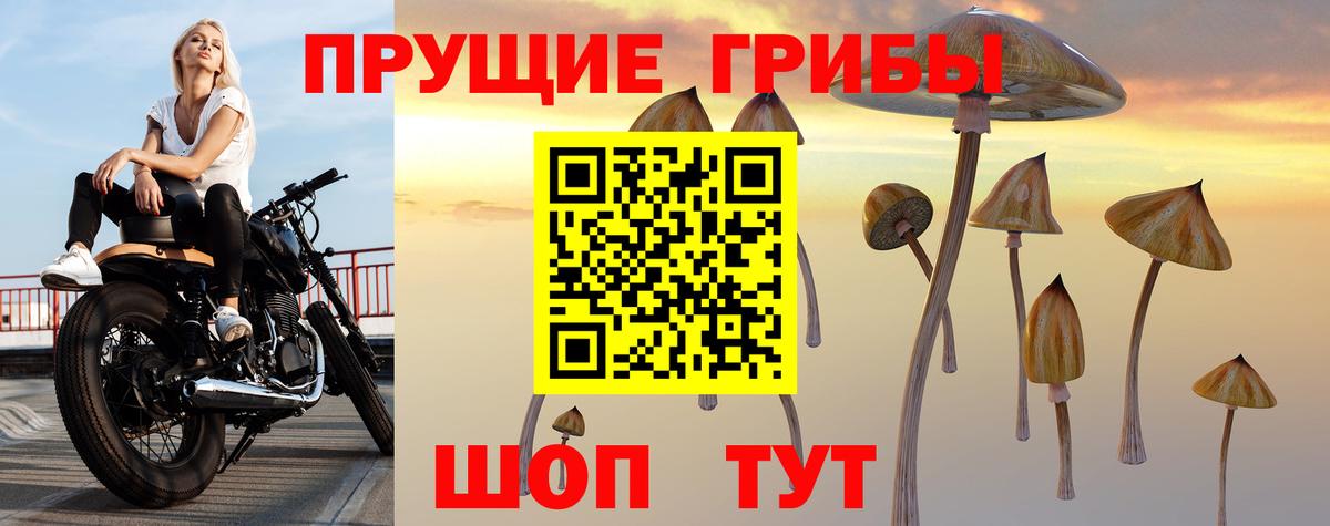 Клин  Псилоцибиновые грибы Cubensis  Вход с VPN 